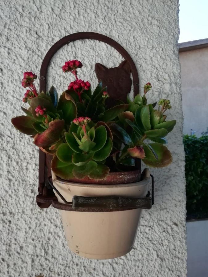 Appartamento Casa Molara Olbia Esterno foto